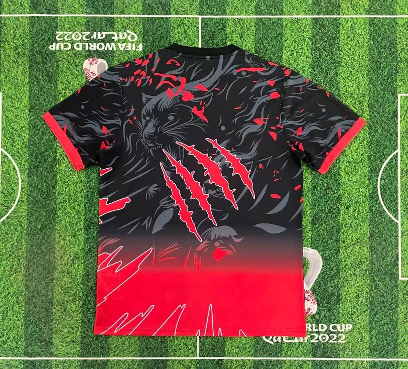 Brazil 2025/26 Red Special Jersey